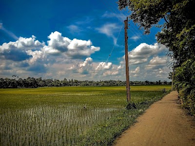 Habibpur
