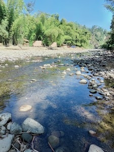 Borail Eco camp