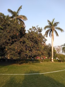 Park
