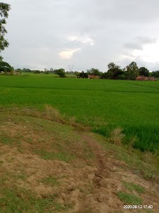 Silahata