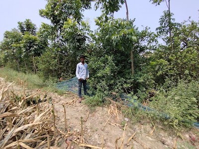 Raushan Kumar