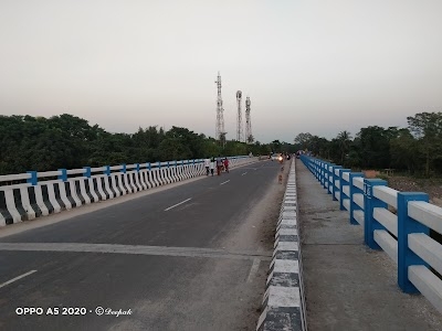 Pagliganj bridge