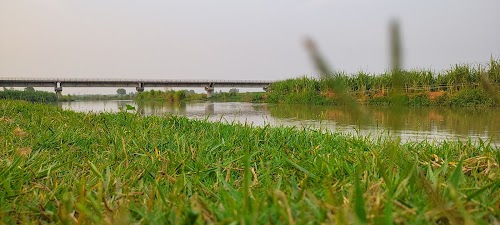 Mukari