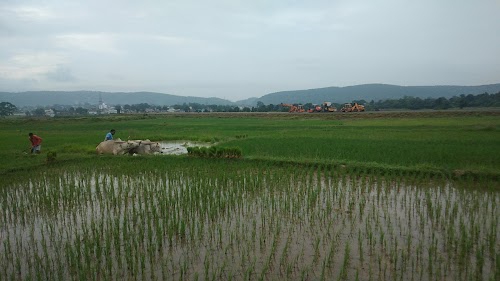Gangudih