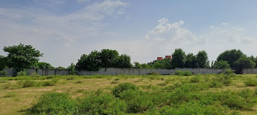 Devdholera
