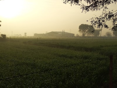Tiddo Farms