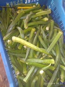 Ramdev sabhi bhandar