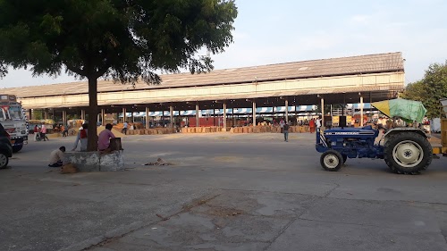 New Grain Market