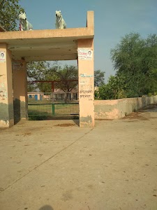 Animal Hospital