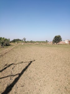 ISSOPURTEELA