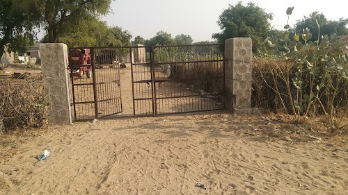 Bawli
