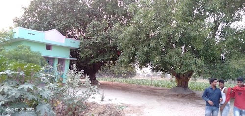 Kali Mata Mandir Yadav Tola