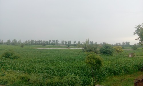 Ravinderrao Farm House