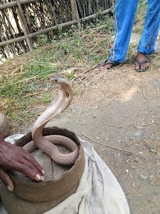 Sotipar