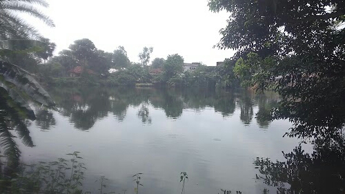 Haldi Bari Pukur