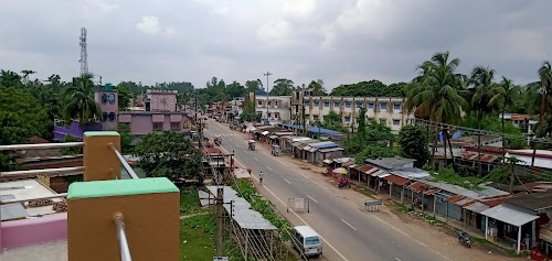 Trimohini