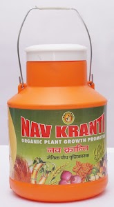Nokha Viswakarma Market