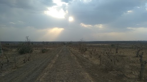Masod Ropvatika