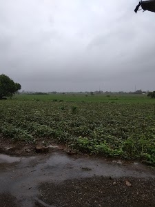 Vanana