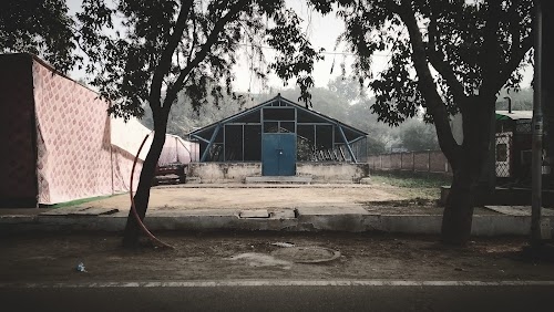 Wandering Nitesh