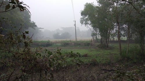 Shidlai