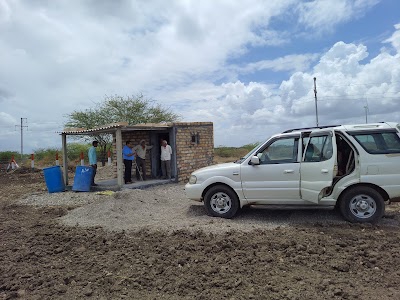 Tarana