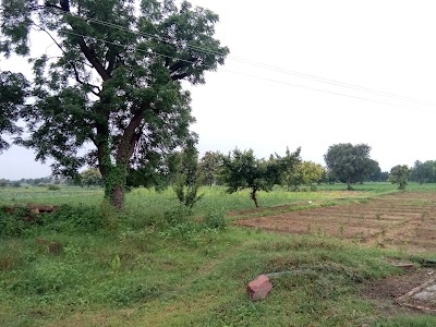 Farm Studio
