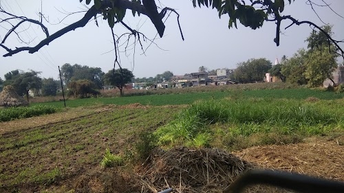 Sukali