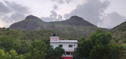 Narang Farms