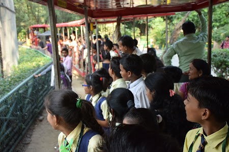 Bajaj Public School