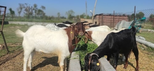Premlaxmi Agriculture Park