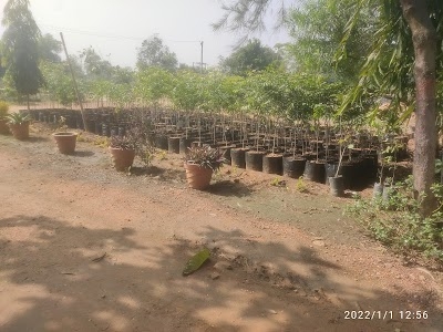 Kumudapali Permanent Nursery