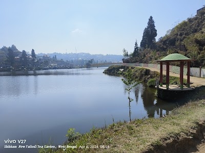 Mirik Lake Pine forest