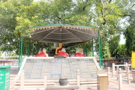 Bodhi Green