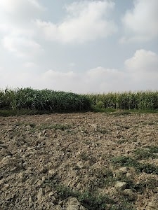 Palanpur