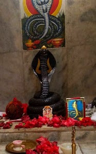 Goga maharaj Temple