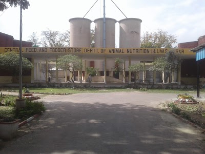 Dept. Ani. Feed Technology
