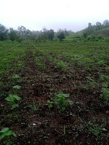 Kanbudi