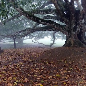 Manipuri Rajbari, Ulubari
