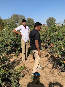 Maharashtra Agro Nursery ,branch Rajsthan