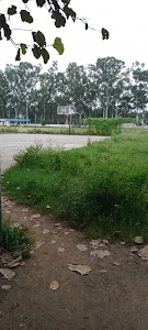 Basketball Ground