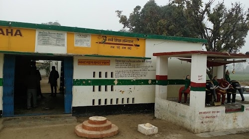 Prathmik Vidyalay Madaraha