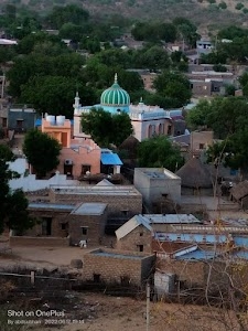 Harpaliya