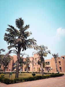 Dr. Bhim Rao Ambedkar College University Of Delhi