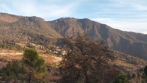 ANKIT NEGI HOME