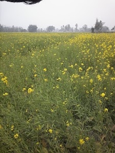 Durgapur