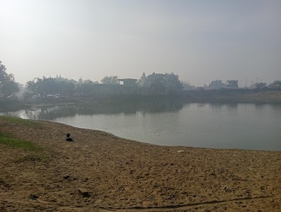 Pindara