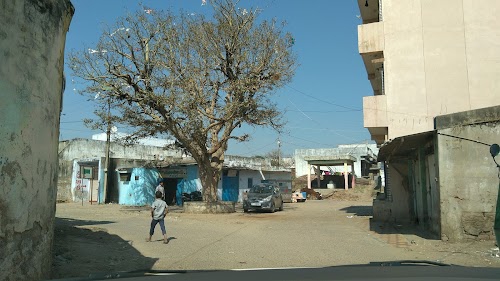 Zanu