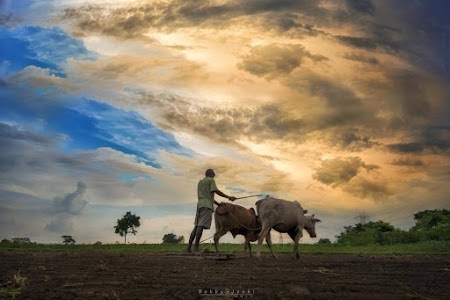Malikpur