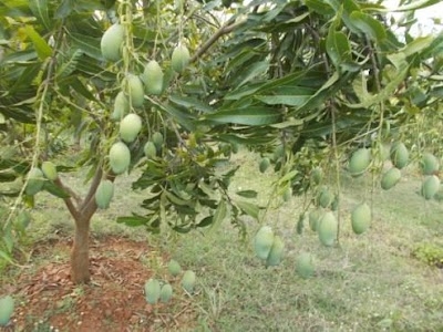 Hirbandh